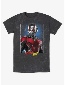 Superheroes Marvel Ant-Man And The Wasp: Quantumania Ant-Man Portrait Mineral Wash T-Shirt
